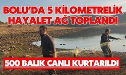 Bolu’da 5 kilometrelik hayalet ağ toplandı: 500 balık canlı kurtarıldı