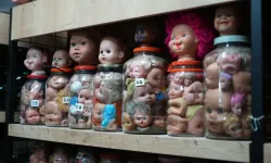 Kocaeli'de yarım asırda oluşturulan koleksiyon tüyler ürpertiyor