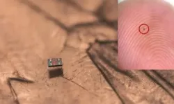 Işıkla çalışan dünyanın en küçük robotu geliştirildi