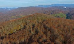Herkesin "sanayi şehri" olarak bildiği Kocaeli'nin öteki yüzü