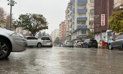 Siirt'te sis ve sağanak yağış etkili oldu