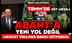 “Akgül’den TBMM’de Net Mesaj: Abant’a Yeni Yol Değil, Mevcut Yollara Bakım İstiyoruz!”