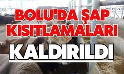 Bolu'da şap kısıtlamaları kaldırıldı