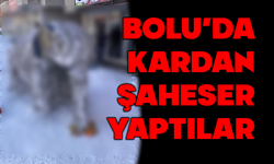 Bolu’da Kardan Mamut İlgi Odağı Oldu