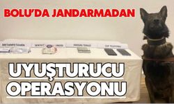 Bolu’da jandarmadan uyuşturucu operasyonu