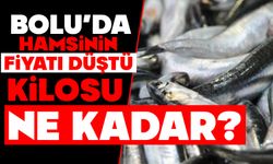 Bolu'da hamsinin fiyatı düştü, Kilosu ne kadar?