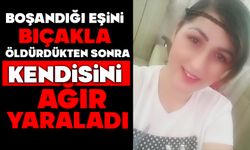 Boşandığı eşini bıçakla öldürdükten sonra kendisini ağır yaraladı