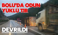 Bolu'da odun yüklü tır devrildi