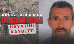 Domuzun saldırısına uğrayan avcı öldü