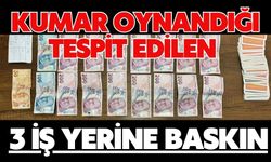 Kumar oynandığı tespit edilen 3 iş yerine baskın