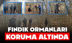 FINDIK ORMANLARI KORUMA ALTINDA