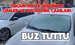 Soğuk hava sebebiyle çimler ve otomobil camları buz tuttu