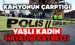 Kamyonun çarptığı yaşlı kadın hayatını kaybetti