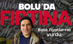 Bolu'da fırtına balık tezgahlarını vurdu