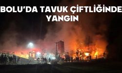 Bolu'da tavuk çiftliğinde yangın