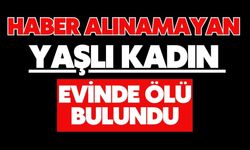 Haber alınamayan yaşlı kadın evinde ölü bulundu