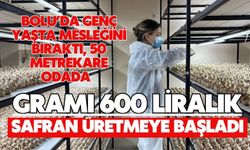 Bolu'da genç yaşta mesleğini bıraktı, 50 metrekare odada gramı 600 liralık safran üretmeye başladı