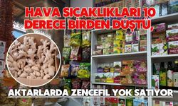 Hava sıcaklıkları 10 derece birden düştü, aktarlarda zencefil yok satıyor