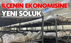 İlçenin ekonomisine yeni soluk