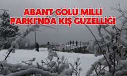 Abant Gölü Milli Parkı'nda kış güzelliği