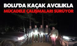 Bolu'da kaçak avcılıkla mücadele çalışmaları sürüyor