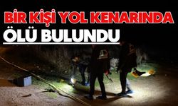 Bir kişi yol kenarında ölü bulundu