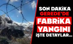 Son dakika, Gerede'de fabrika yangını