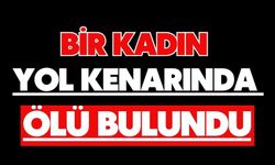 Bir kadın yol kenarında ölü bulundu