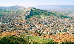 Mutfakların Vazgeçilmezi Yeşil Altın İçin Hasat Heyecanı Başladı