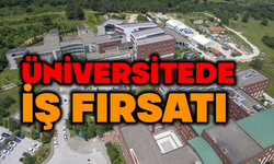 BAİBÜ'de iş fırsatı