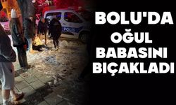 Annesine küfredince babasını bıçakladı