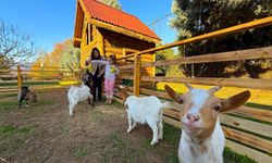 Dünyada ilk kez kullanılan yöntem, özel çocukların gelişiminde inanılmaz katkılar sağladı