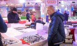 Tezgahlar istavritle doldu: Fiyatlar dibi gördü