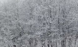 Çanakkale'de yüksek kesimler beyaza büründü