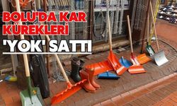 Bolu'da kar kürekleri 'yok' sattı