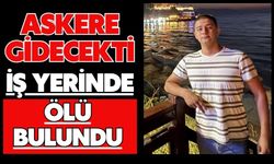 Askere gidecekti, iş yerinde ölü bulundu