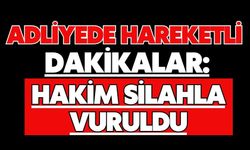 Adliyede hareketli dakikalar: Hakim silahla vuruldu