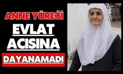 Anne yüreği evlat acısına dayanamadı