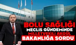 Bolu Sağlığı Meclis Gündeminde: Akgül Bakanlığa Sordu