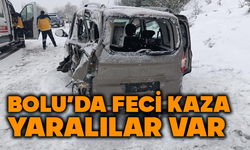 Bolu'da feci kaza, 2 yaralı