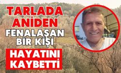Tarlada aniden fenalaşan bir kişi hayatını kaybetti