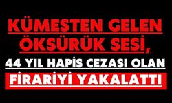 Kümesten gelen öksürük sesi, 44 yıl hapis cezası olan firariyi yakalattı