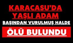 Karacasu'da yaşlı adam başından vurulmuş halde ölü bulundu