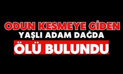 Odun kesmeye giden yaşlı adam dağda ölü bulundu