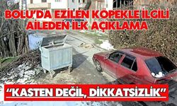 Bolu’da Ezilen Köpekle İlgili Aileden İlk Açıklama “KASTEN DEĞİL, DİKKATSİZLİK”