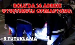 Bolu'da 14 adrese uyuşturucu operasyonu: 3 tutuklama