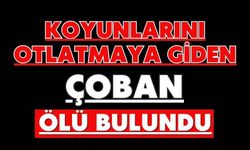 Koyunlarını otlatmaya giden çoban ölü bulundu