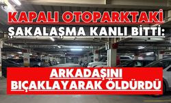 Kapalı otoparktaki şakalaşma kanlı bitti: Arkadaşını bıçaklayarak öldürdü