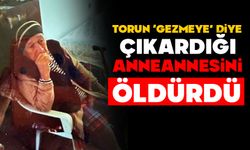 Torun ‘Gezmeye’ diye çıkardığı anneannesini öldürdü