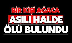 Bir kişi ağaca asılı halde ölü bulundu